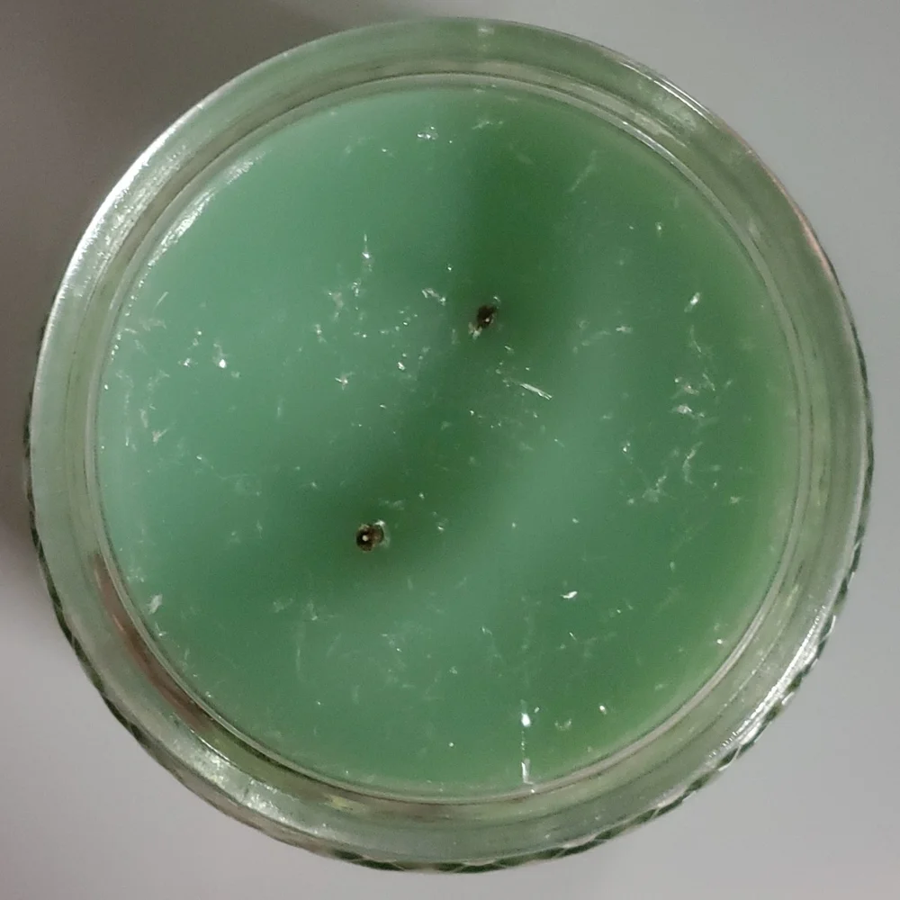 OLD FASHIONED MINT ICE CREAM small/8 oz Gold Canyon‎ two-wick candle